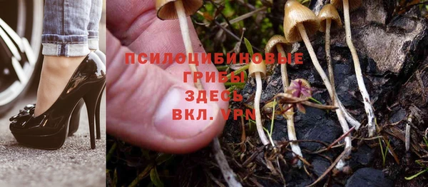 ALPHA PVP Сосновка