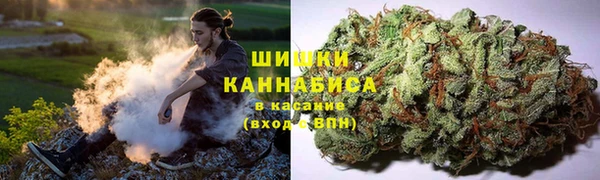 каннабис Богданович